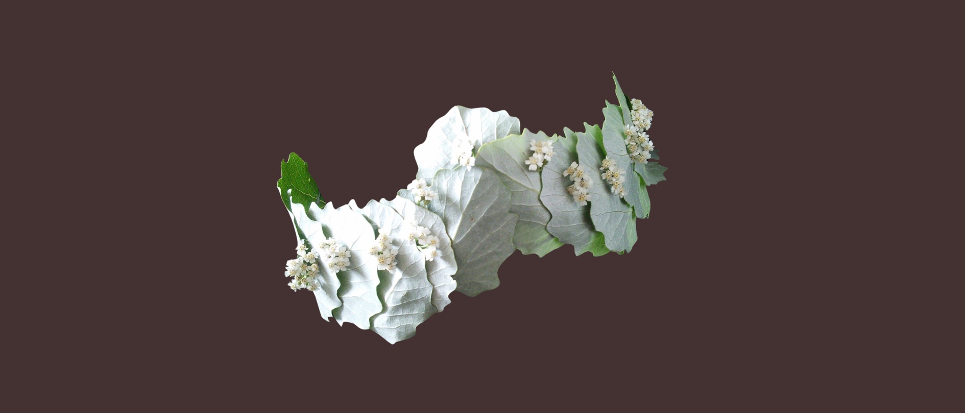 Couronne florale